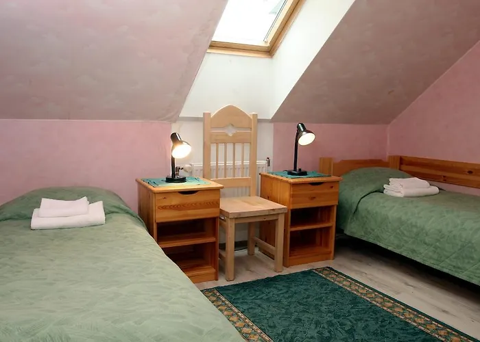 宾馆 卡塔利纳宾馆 *