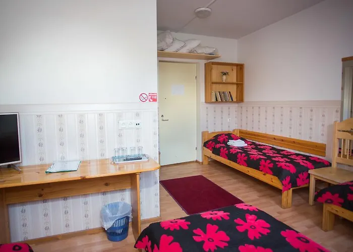 卡塔利纳宾馆 宾馆